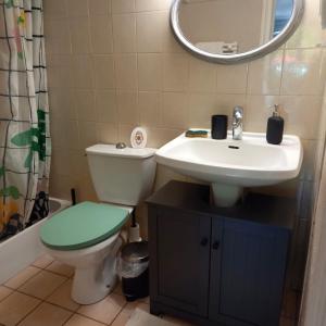 a bathroom with a toilet and a sink and a mirror at Studio de l'Armançon in Semur-en-Auxois +10 photos