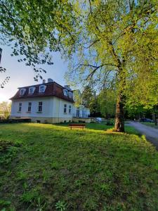a building with a tree and a bench in the grass at Wilcze Schronisko in Czerniki