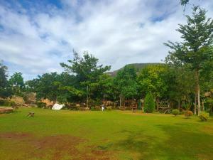 a park with a dog running in the grass at Sere n' Lukundo Park & Camping Services in Voi