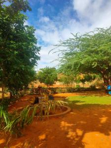 a group of tables and chairs in a park at Sere n' Lukundo Park & Camping Services in Voi +6 photos