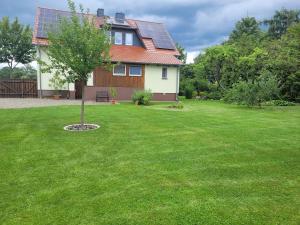 a house with a green yard with a tree at Ferienwohnung Buschmühle Schlepzig in Schlepzig