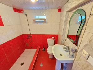a bathroom with a white toilet and a sink at Budget Hostel in Mestia in Mestia