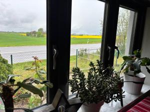 a window with potted plants and a view of a street at Sjörups Vera in Trelleborg +11 photos