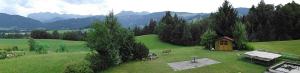 a small cabin in a green field with trees and mountains at Gästehaus Wiesenhof in Schwarzenberg