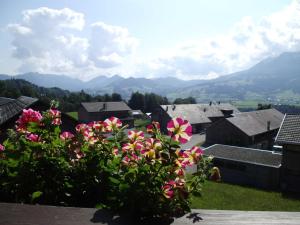 a view of a village with pink flowers in the foreground at Gästehaus Wiesenhof in Schwarzenberg