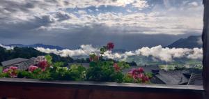 a window with flowers on a ledge with a view at Gästehaus Wiesenhof in Schwarzenberg +51 photos