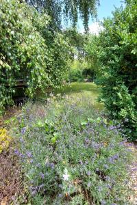 a garden with purple flowers and trees and a bench at Ferienwohnung Loose in Tecklenburg