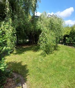 a garden with an apple tree in the grass at Ferienwohnung Loose in Tecklenburg