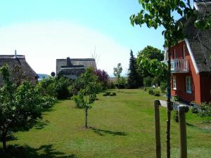 a small tree in a yard next to a red house at MR Landhaus Uhlenhof 5 in Groß Zicker +5 photos