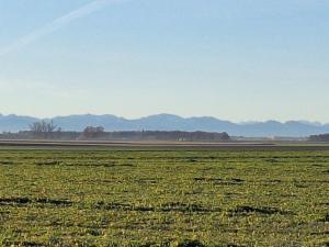 a large green field with mountains in the background at Ferienwohnung Demmelbach in Weil