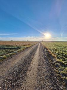 a dirt road in the middle of a field at Ferienwohnung Demmelbach in Weil +15 photos