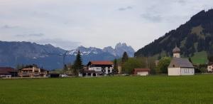 a green field with houses and a church and mountains at Hoamatl in Tannheim
