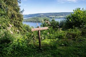a sign in the grass with a view of a lake at Waldhaus Anne in Simmerath +29 photos