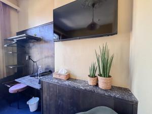 a bathroom with a sink and two plants on a counter at Hotel Botaniek in Bruges