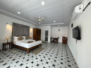 a bedroom with a bed and a flat screen tv at DD cottages Mandrem Goa in Mandrem