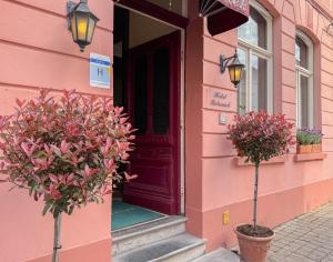 a pink building with two potted plants in front of a door at Hotel Botaniek in Bruges