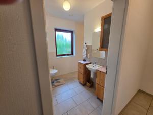 a bathroom with a sink and a toilet and a window at Haus Gartenglück in Barßel
