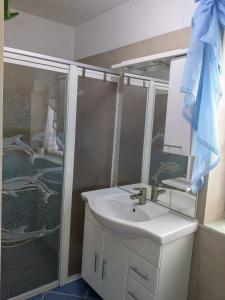 a bathroom with a sink and a shower at Ferienhaus 2 Bernd in Barth