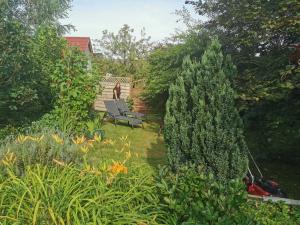 a garden with a couple of chairs in the yard at Ferienhaus 2 Bernd in Barth +9 photos