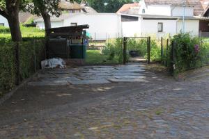 a dog laying on the ground next to a fence at Ferienzimmer Riesebeck in Wieck