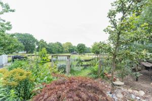 a garden with a fence and some plants at Ferienwohnung Eulennest, 35230 in Schwerinsdorf