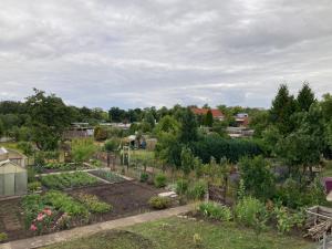 an aerial view of a garden with plants at Ferienwohnung Braunschweiger Hof in Halberstadt