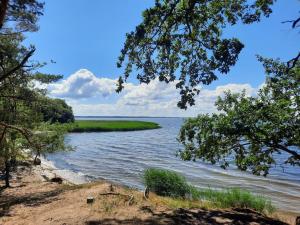 a view of a river with trees in the foreground at FH am Haff B in Altwarp