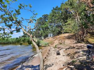 a bike parked on a sandy beach next to a river at FH am Haff B in Altwarp