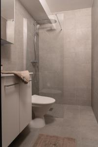 a bathroom with a toilet and a shower at Nyhem - Funäsdalen in Funäsdalen
