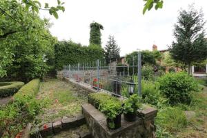 a garden with potted plants and a fence at Fewos Storchenhof am Kummerower See in Meesiger