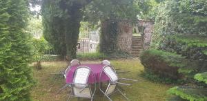 a purple table and chairs in a garden at Fewos Storchenhof am Kummerower See in Meesiger