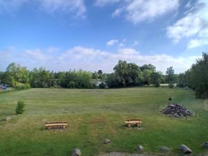 two benches in a field with trees and a lake at Scheunen-Domizil in Bollewick