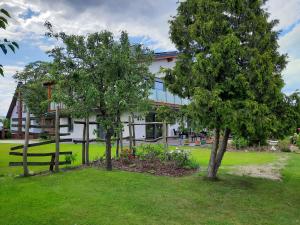 two trees in a yard in front of a building at Ferienwohnung im Spreewald - Natur Pur in Lübben