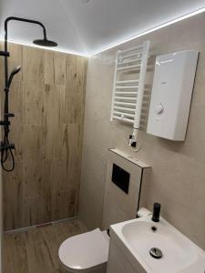 a bathroom with a white toilet and a sink at Mini Apart - Gdańsk Jelitkowo in Gdańsk