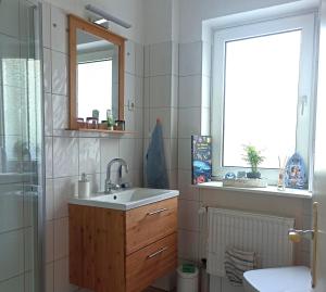 a bathroom with a sink and a mirror and a shower at Fewo Apfel Striep in Steinkirchen