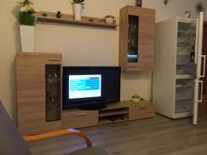 TV a/nebo společenská místnost v ubytování Apartmán na Lukách - Kopretina