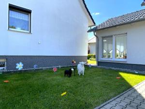 two sheep standing in a yard next to a house at Gästehaus Seenland in Lauta