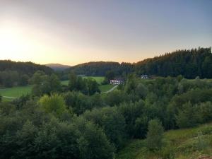 Luftaufnahme eines Hauses mitten in einem Wald in der Unterkunft Ferienwohnung Andre in Miesbach