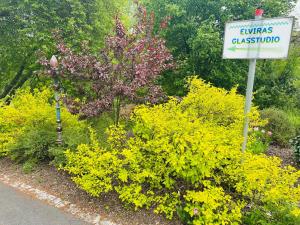a sign in a garden with yellow flowers and a sign at GER-Haus in Waischenfeld +97 photos