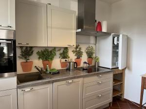 a kitchen with white cabinets and potted plants at Ferienwohnung am Kirchplatz 25561 in Weener