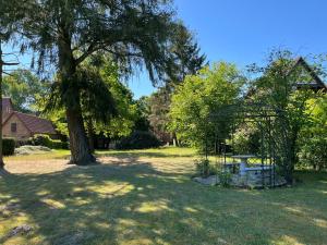 a park with a tree and a gazebo at Landhaus Amalie in Malchow