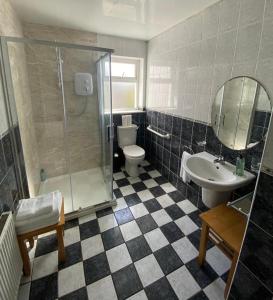 a bathroom with a shower and a sink and a toilet at Claddagh in Galway
