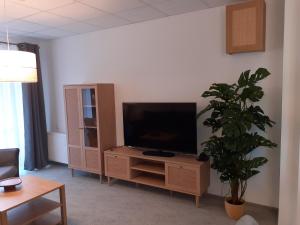 a living room with a flat screen tv and a potted plant at Ośrodek Warszawianka in Świnoujście