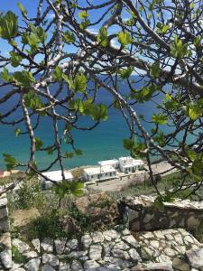 - une vue sur l'océan depuis un arbre dans l'établissement Antigoni Studios, à Skiros