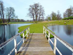 a wooden bridge over a pond with cows in a field at Bungalow am See in Basedow