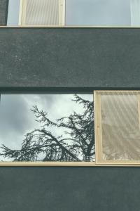 a tree reflection in the window of a building at AP8 city & park apartement in Aalst