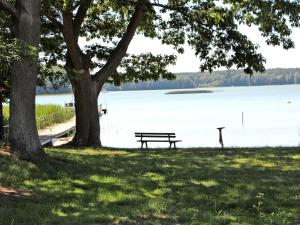 a park bench sitting under a tree next to a lake at Mobilheime Lagune in Lychen +18 photos