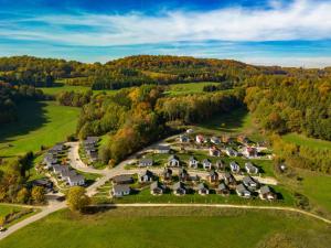 an aerial view of a housing estate with homes at Panoramahaus Premium Typ 100 in Truppach