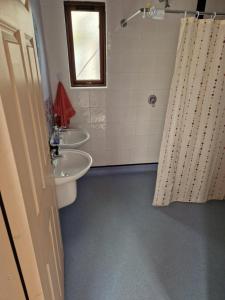 a bathroom with a sink and a toilet and a window at Shannon Estuary Glamping Budget-Sustainable-Biodiversity Habitat--Rustic-Countryside Holiday Accommodation in Effernan