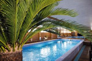 ein großer Swimmingpool mit einer Palme daneben in der Unterkunft Prezident Hotel Novi Sad - Outdoor Pool & Spa in Novi Sad